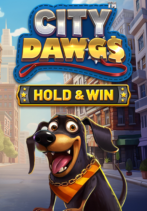 City Dawgs - Hold & Win