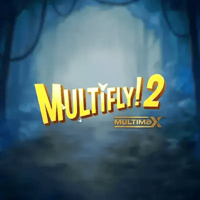 MultiFly2